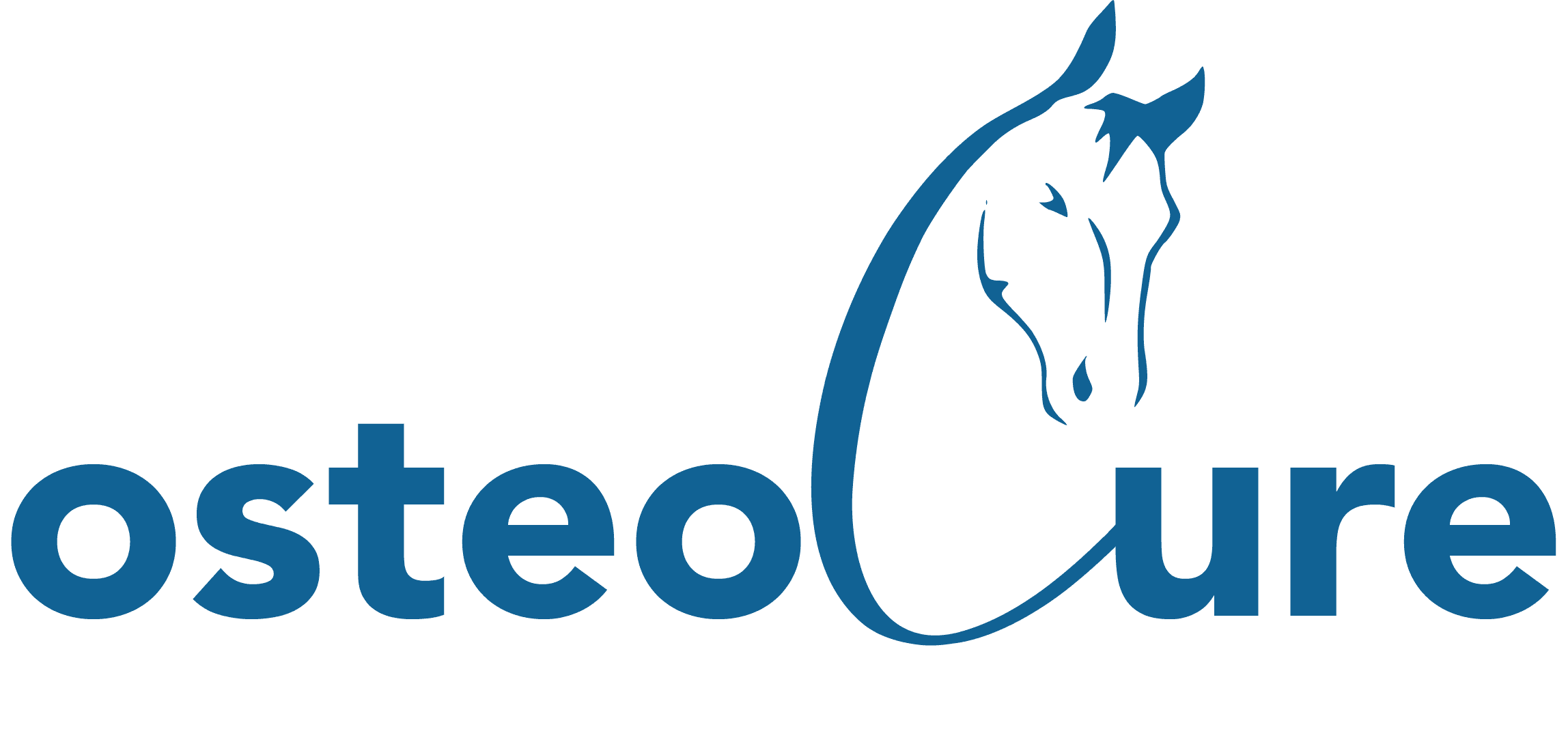 OsteoCure